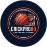 CricOverlay Logo